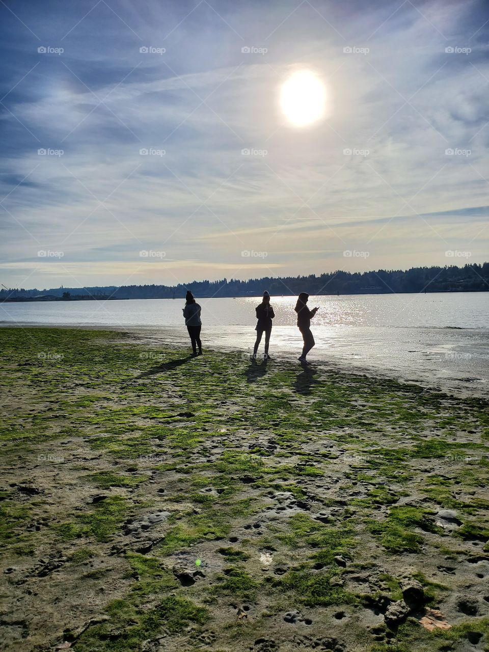 Beach, Water, Sea, Lake, Ocean