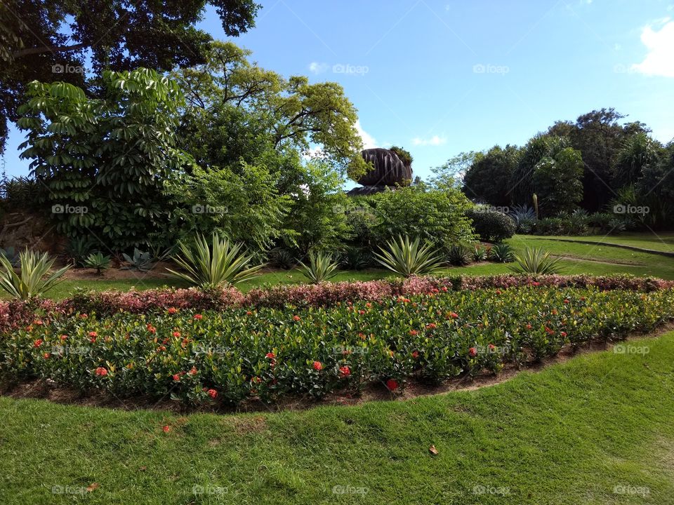 jardim do parque pedra da cebola