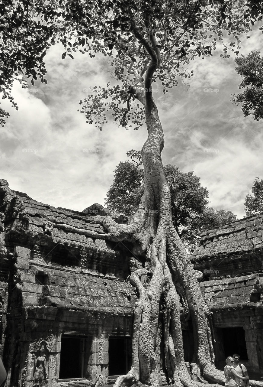 Angkor thom. Cambodia 