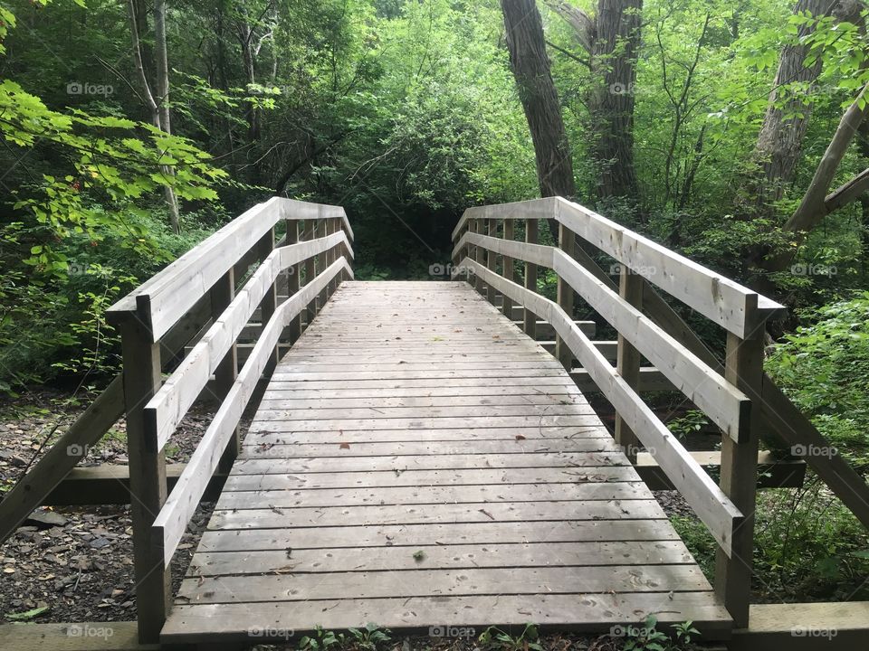 Bridge on the Trans-Canada trail