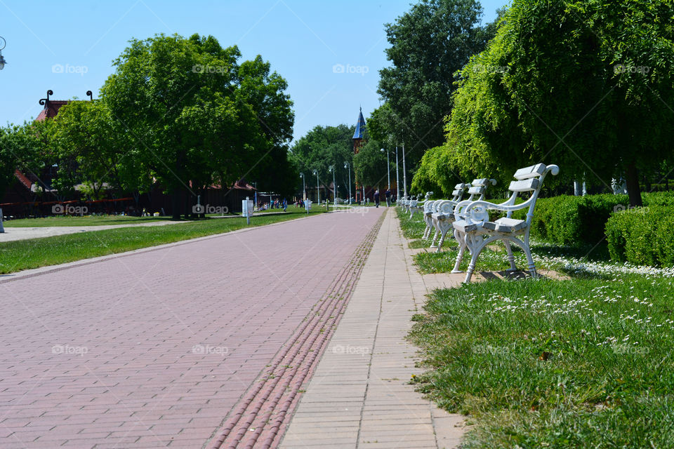 Beautiful walking path in park. Park Palic Serbia 