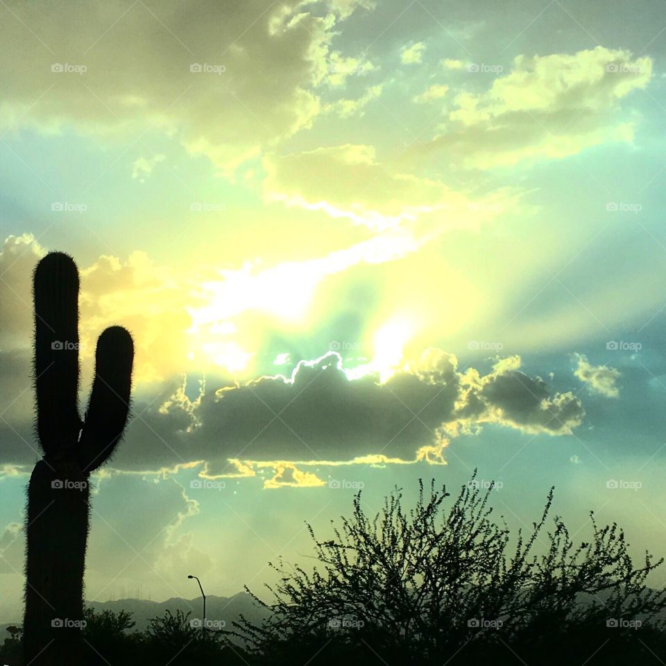 When the dust settles 