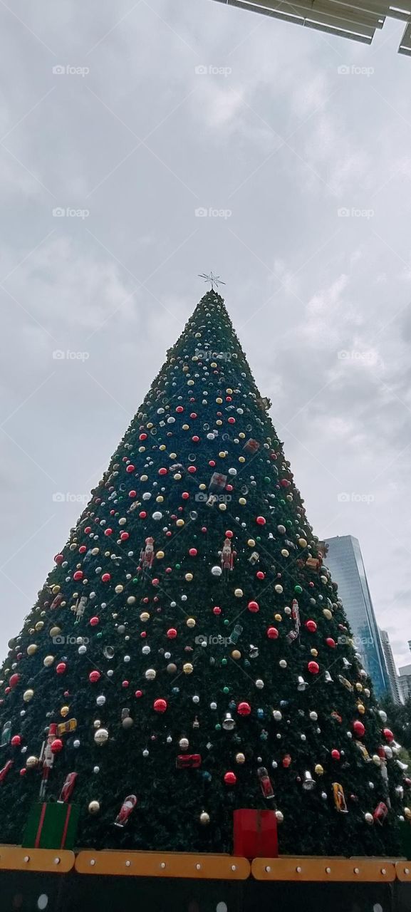 tall Christmas tree