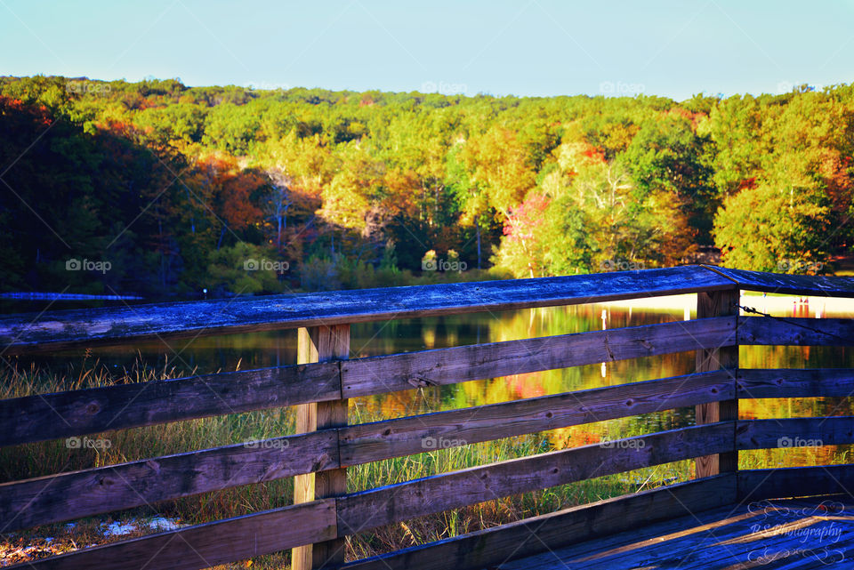 Autumn Foliage. Thurmont,  MD