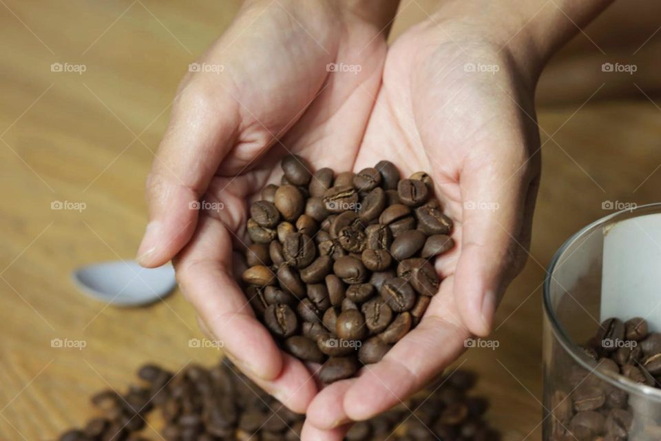 coffee bean