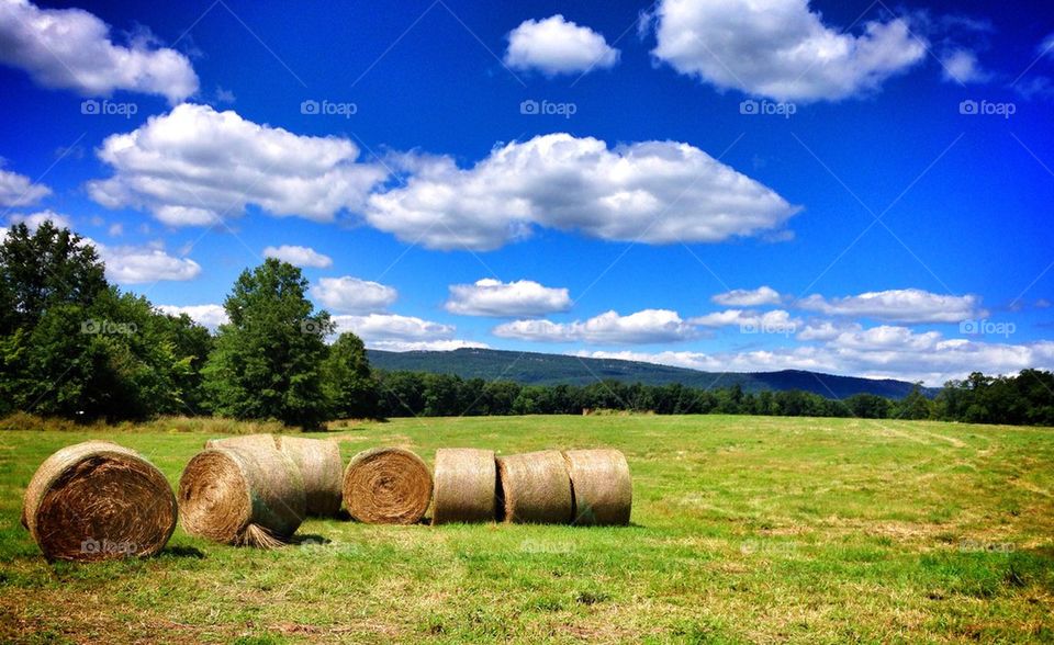 sky country farm hay by tncobb