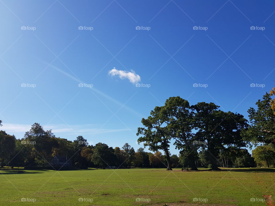 Nice shots in a nice day