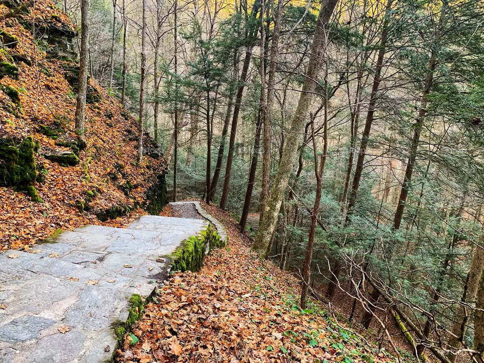 Exploring the unknown - Robert H Treman State Park