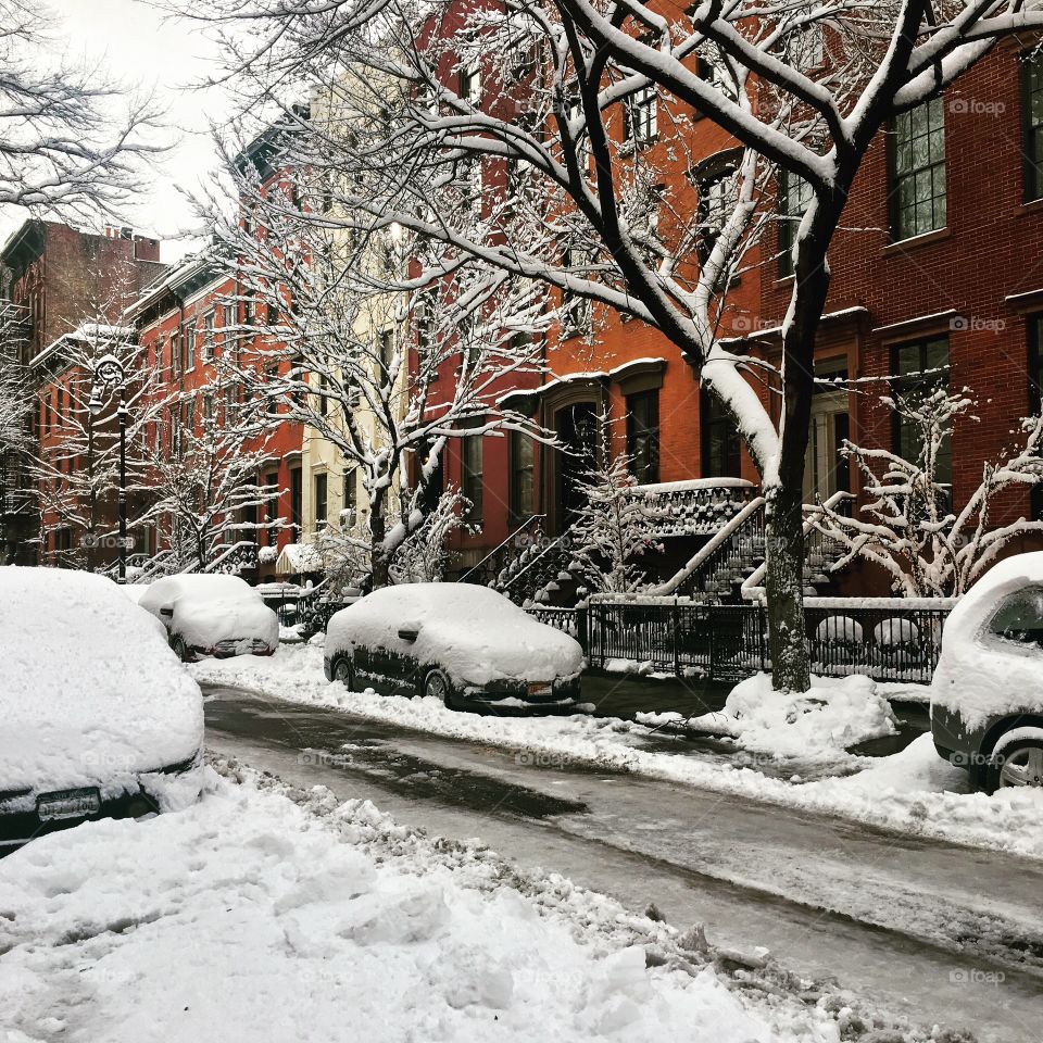 Winter Wonderland ❄️ 
West Village, NY