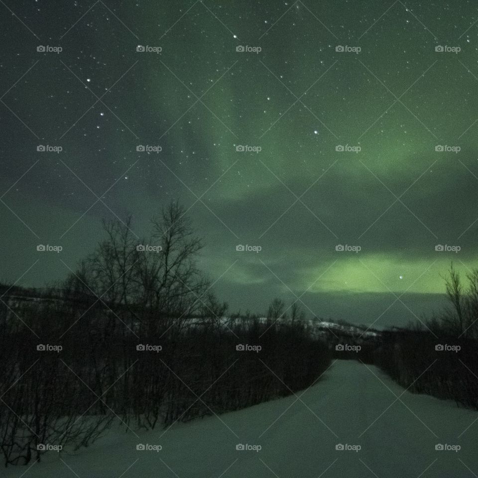 Northern lights over snowy landscape