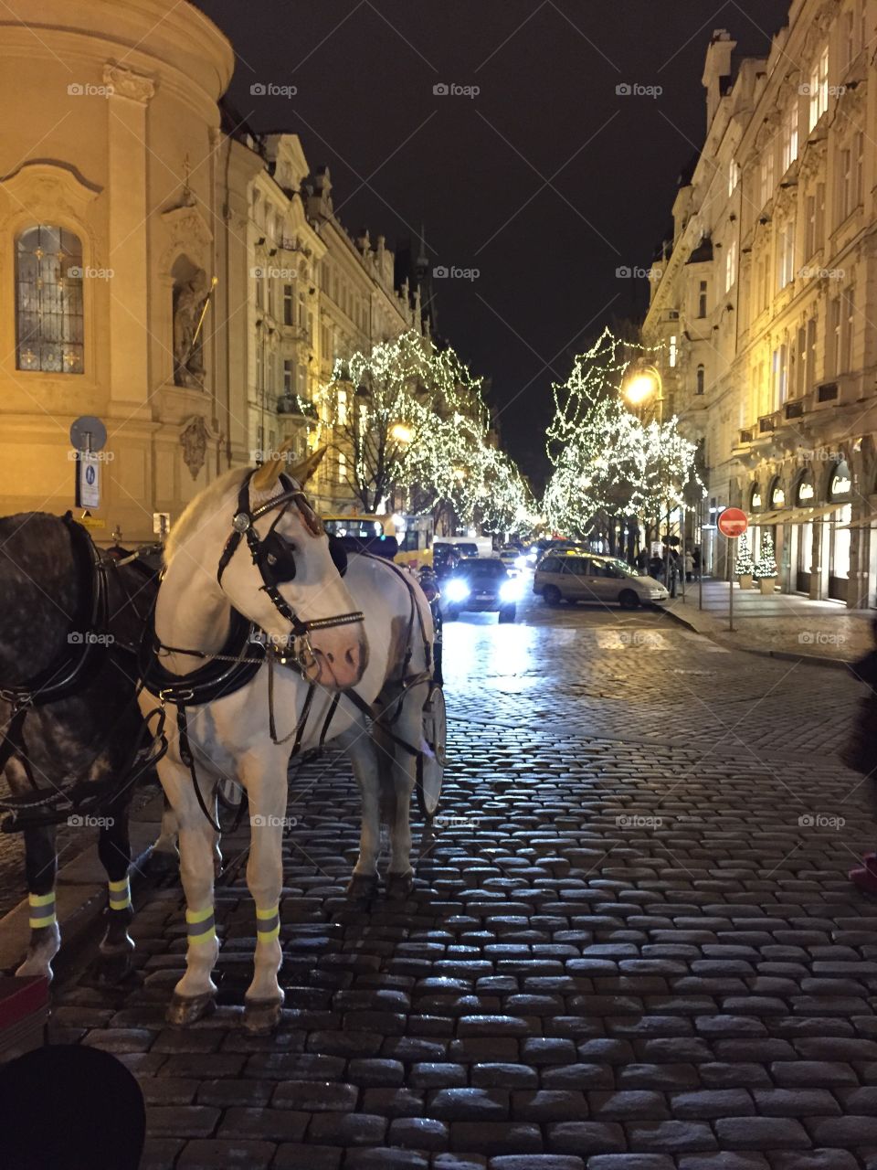 Horse cart in Prague