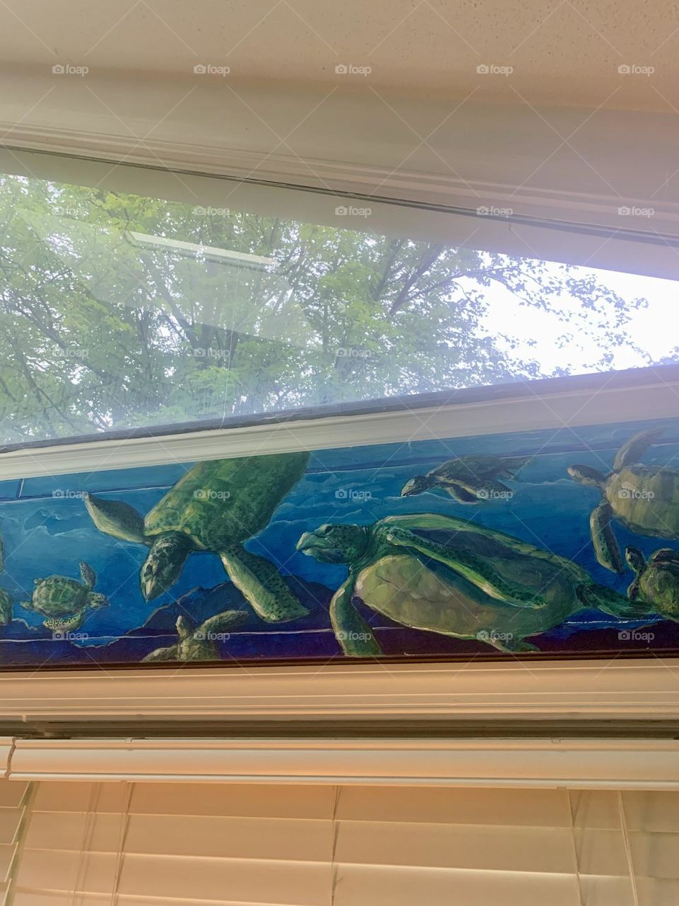 Turtle painting 