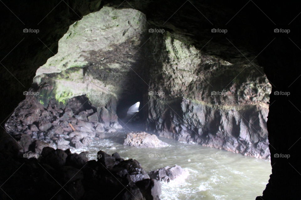 sea lion caves