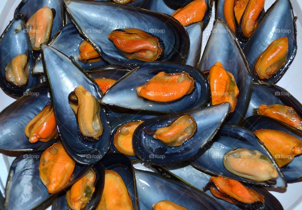 Mussels