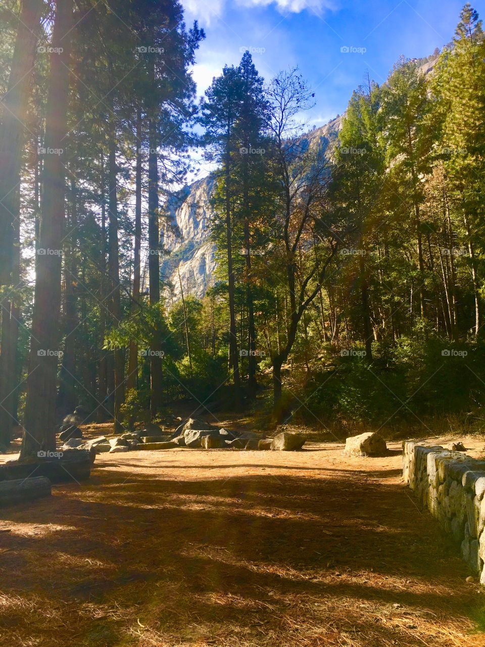 More photos of Yosemite National Park