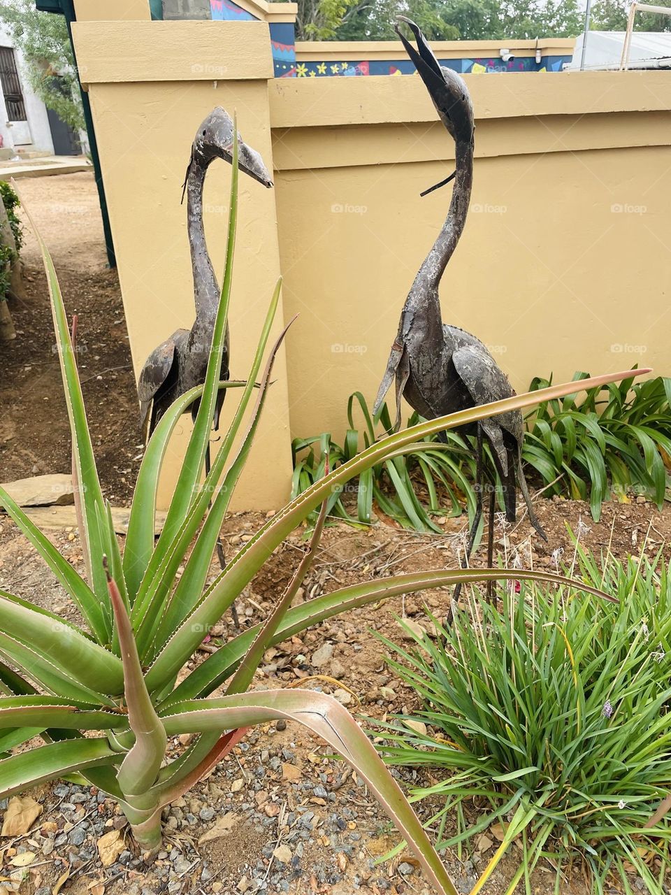 Birds having a conversation apparently 
