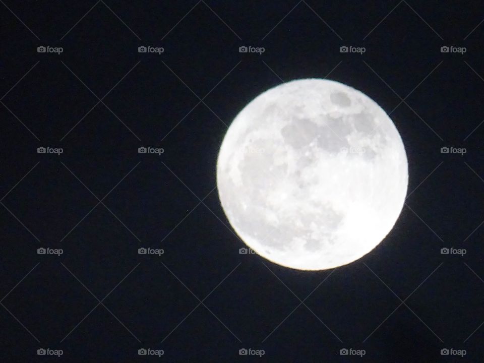 Supper moon 