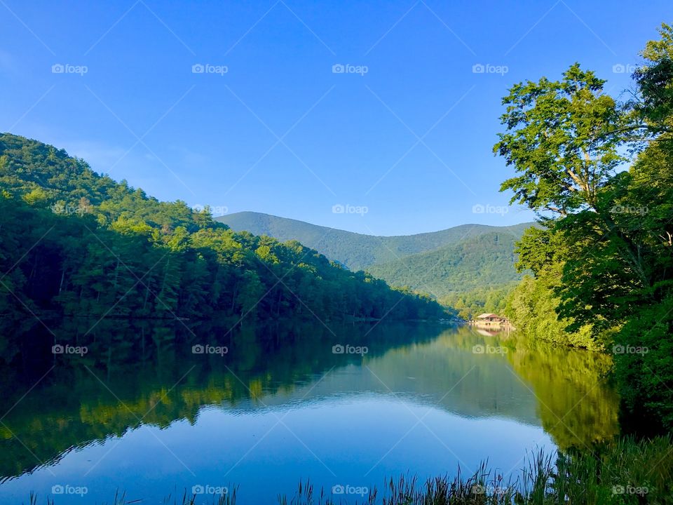 Nature, Landscape, No Person, Water, Wood