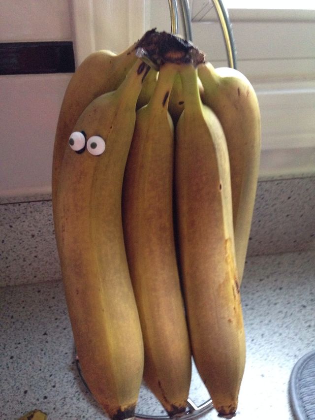 Whose watching you?