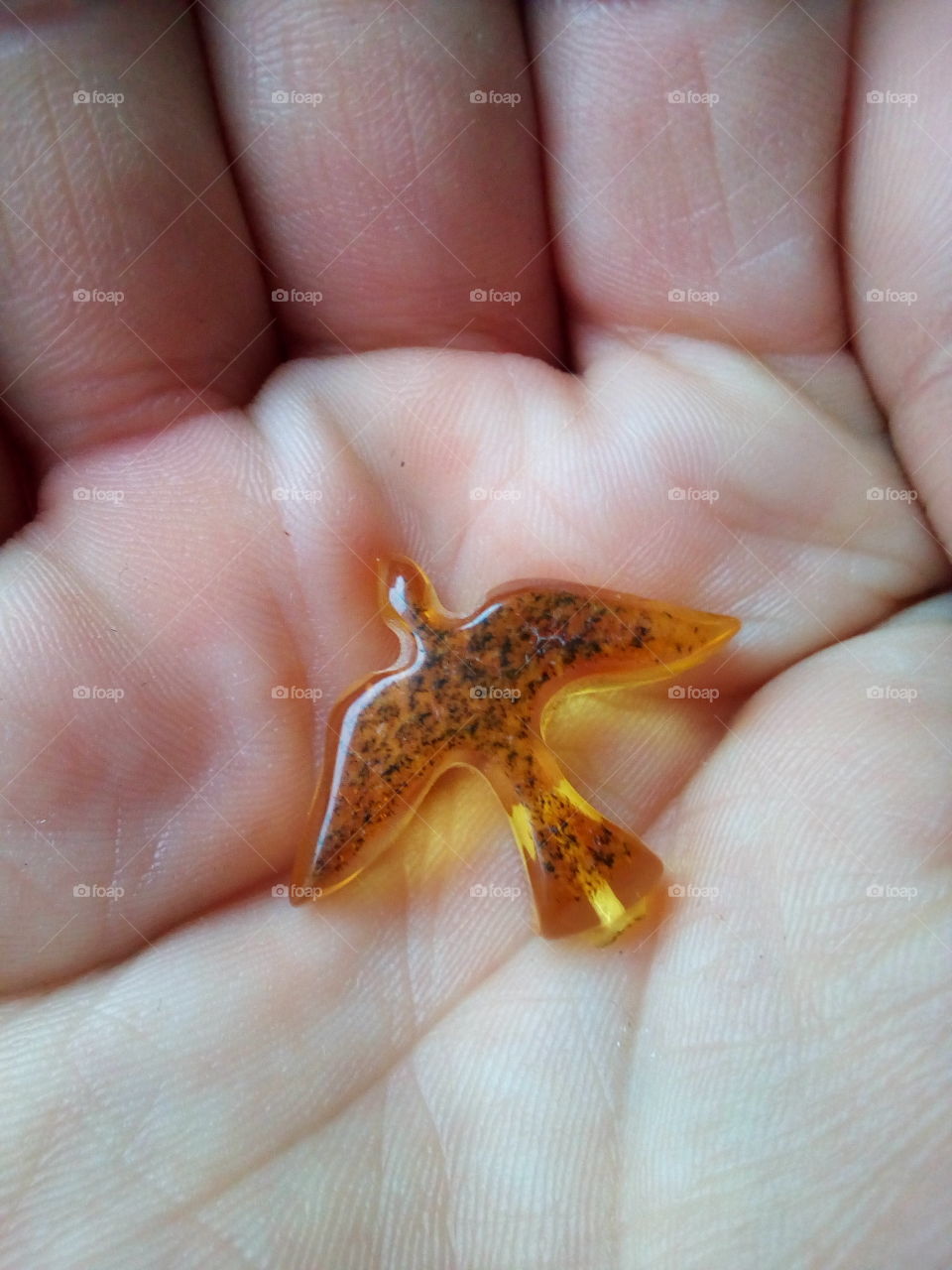 Baltic amber bird in my palm