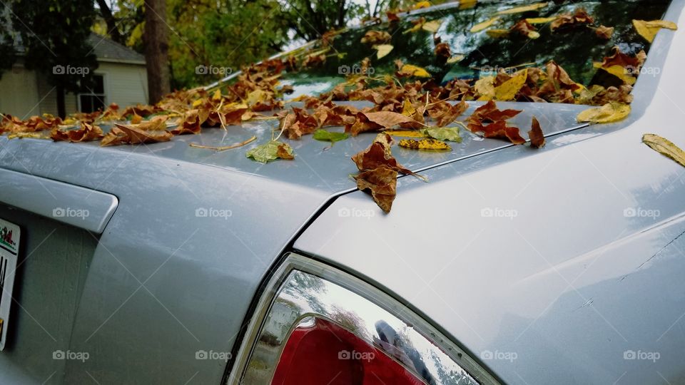 Autumn Finds My Car