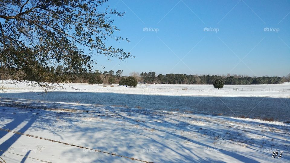 Landscape, Tree, Winter, Snow, Water