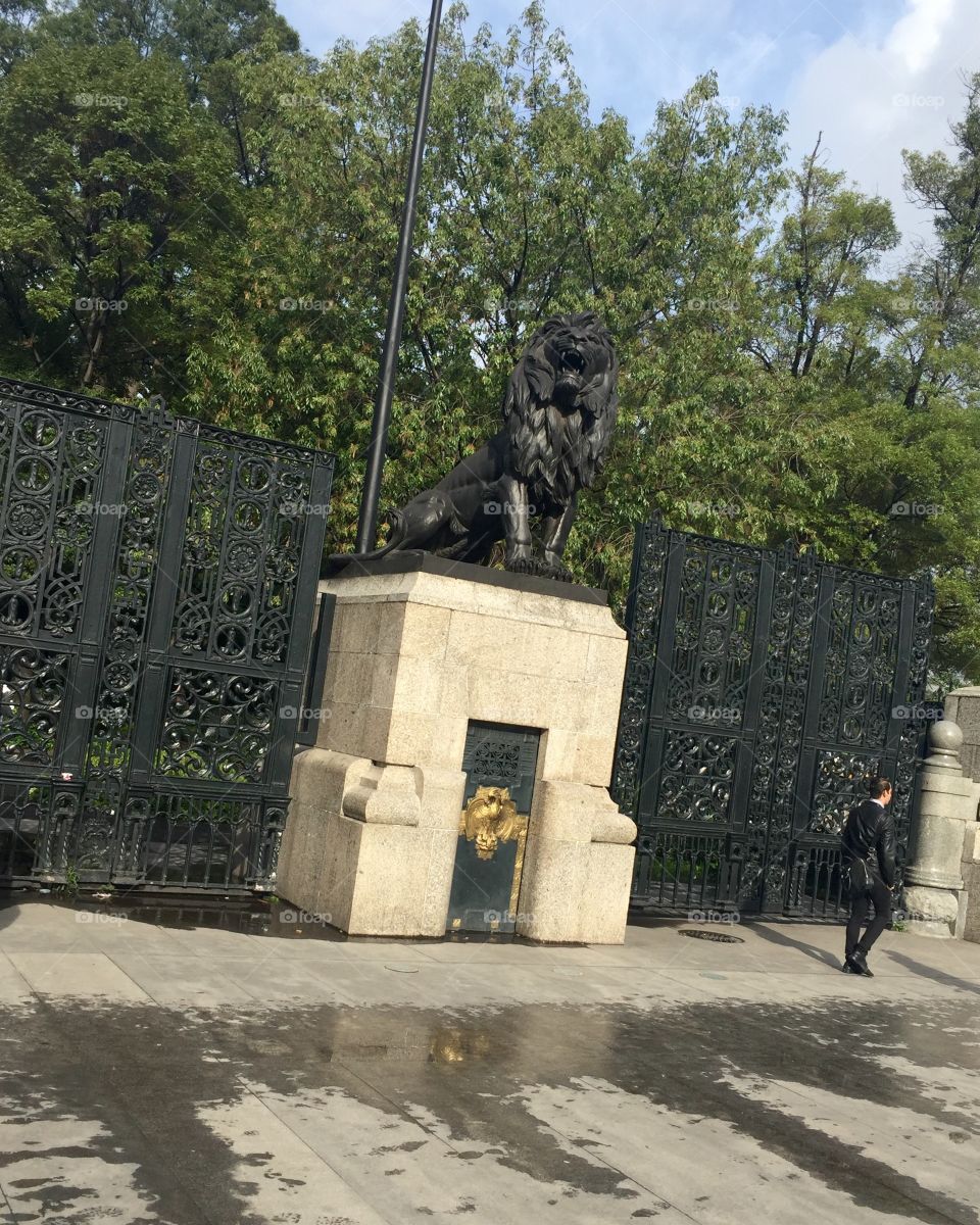 Lion Gate