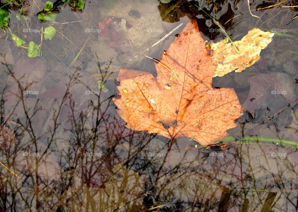 Reflection