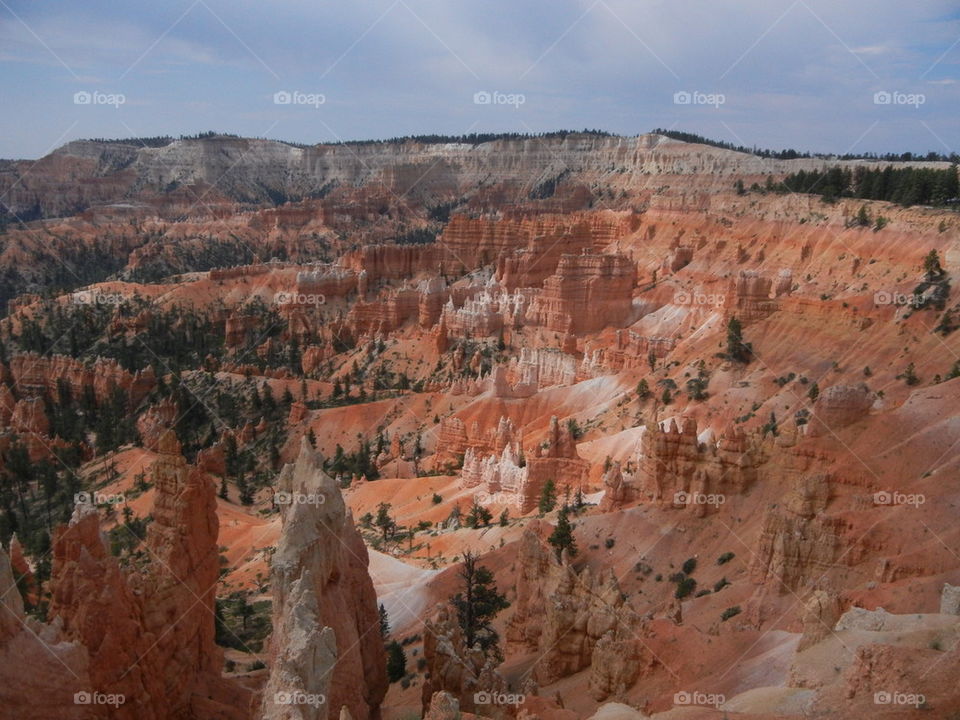 Bryce canyon woodoos