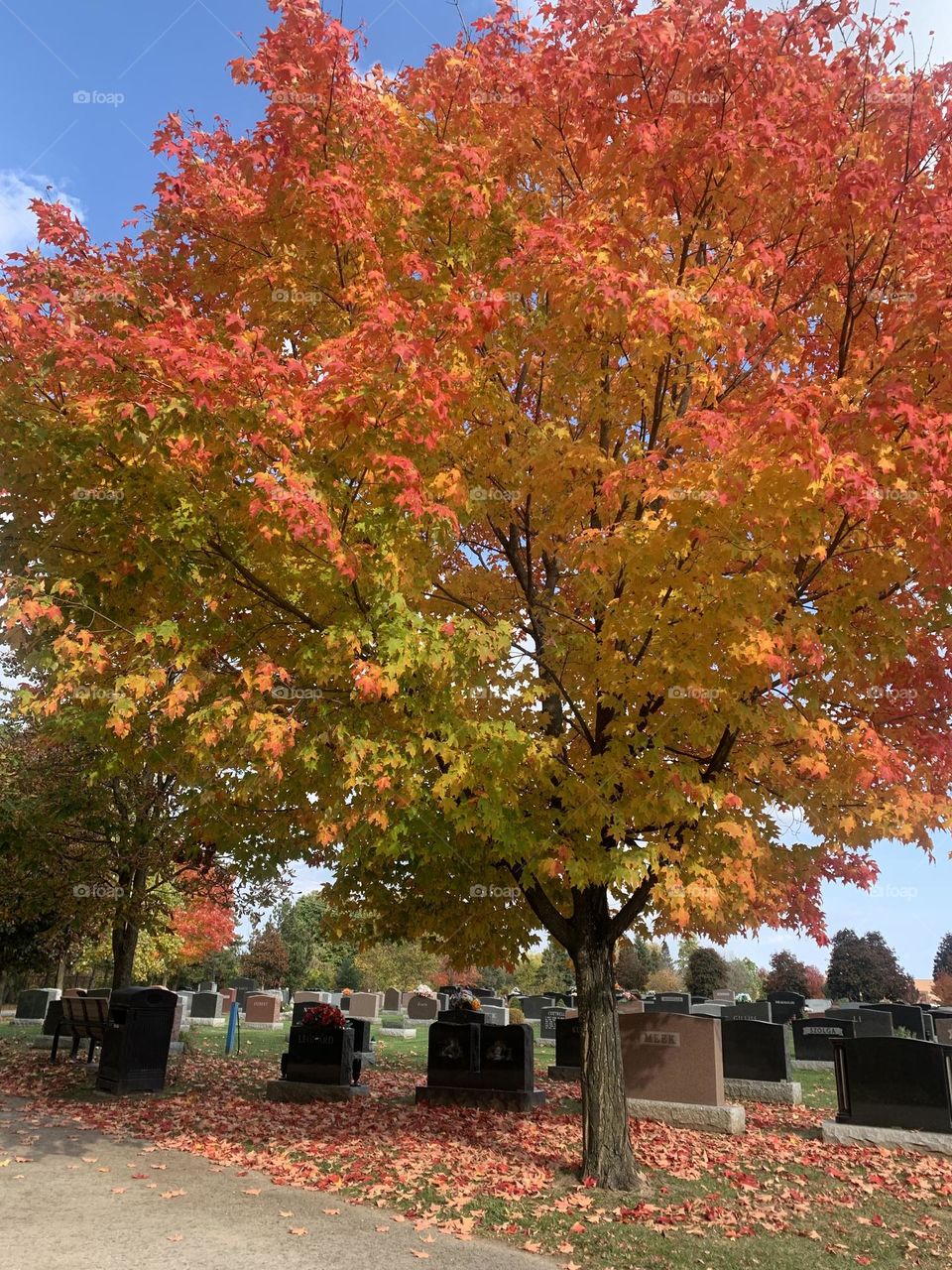 Beautiful Fall colours