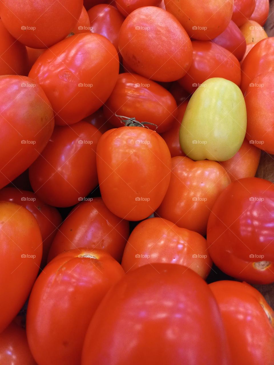 Tomate italiano. O tomate é um fruto rico em vitamina  C, A, K e licopeno, que é um potente antioxidante,  ajudando a manter a saúde da pele, fortalecer o sistema imunológico,  evitando doenças cardiovasculares,  como infarto e aterosclerose