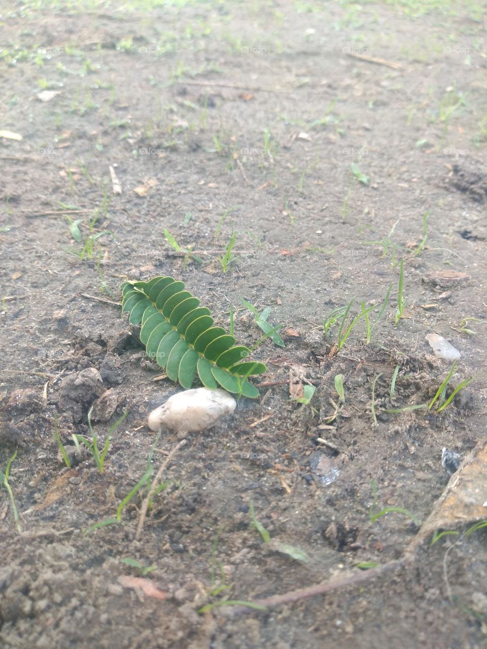 Upload your Photo of the Week