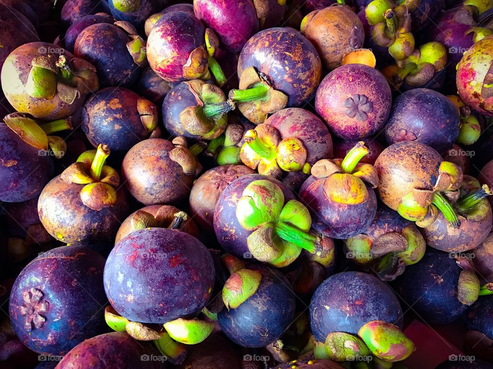 The purple mangosteen (Garcinia mangostana)