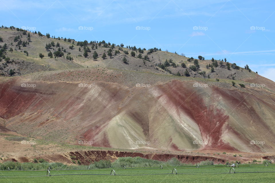 painted hills