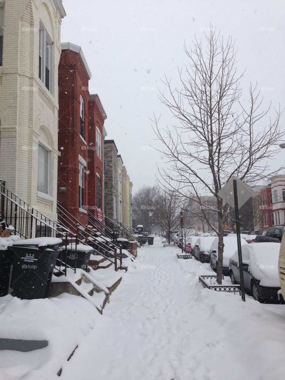 Washington, DC neighborhood in the snow
