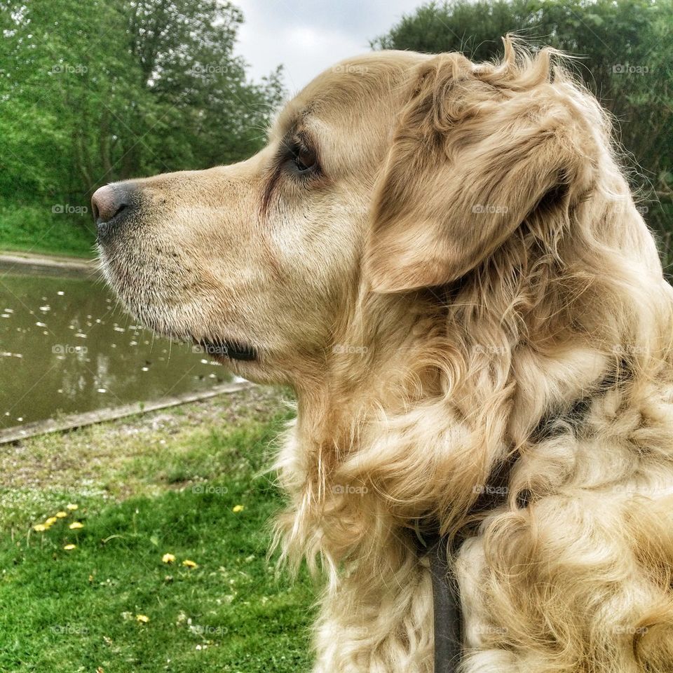 Nocas posing at the canal 