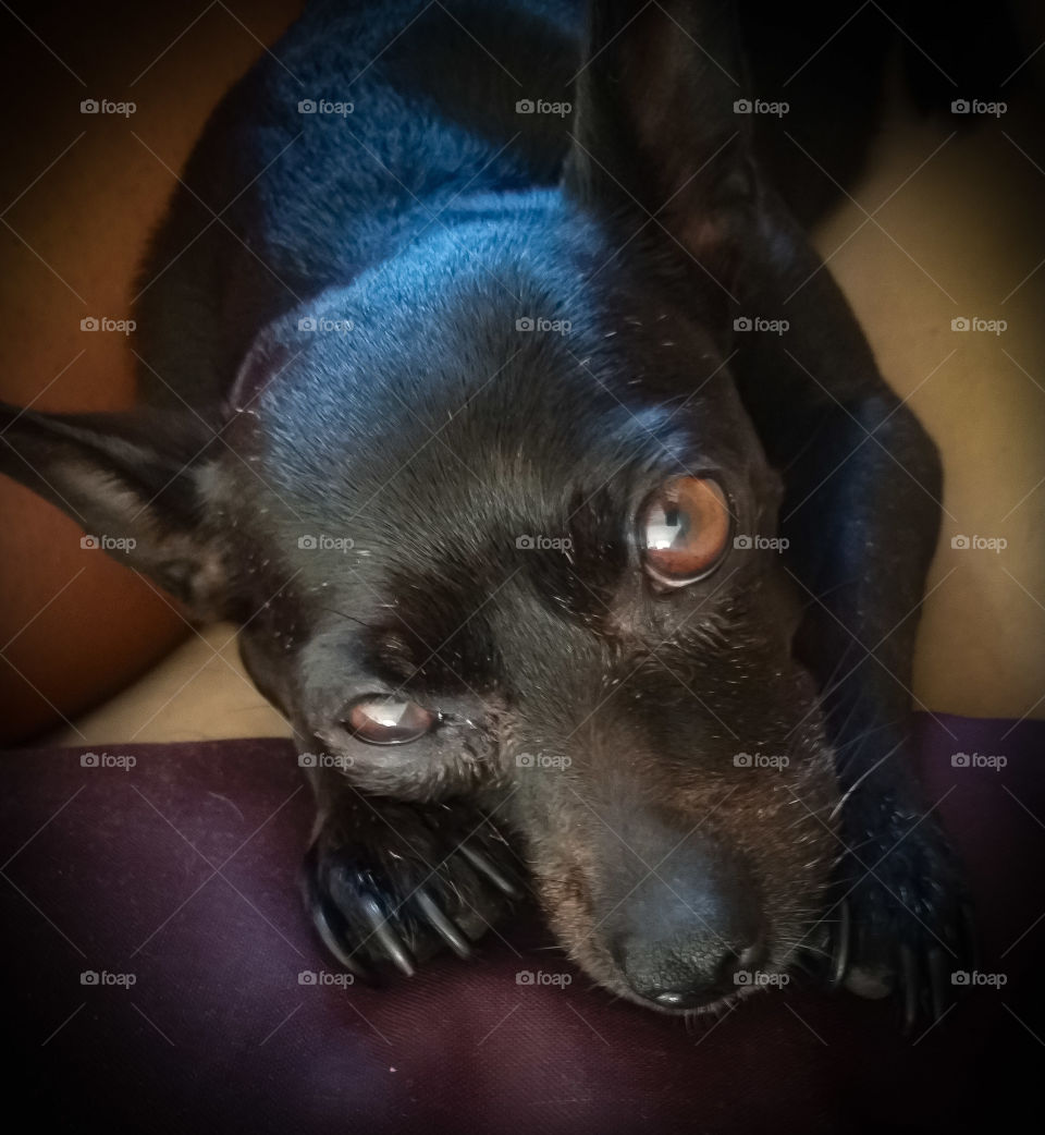 How not to get lost in this look...