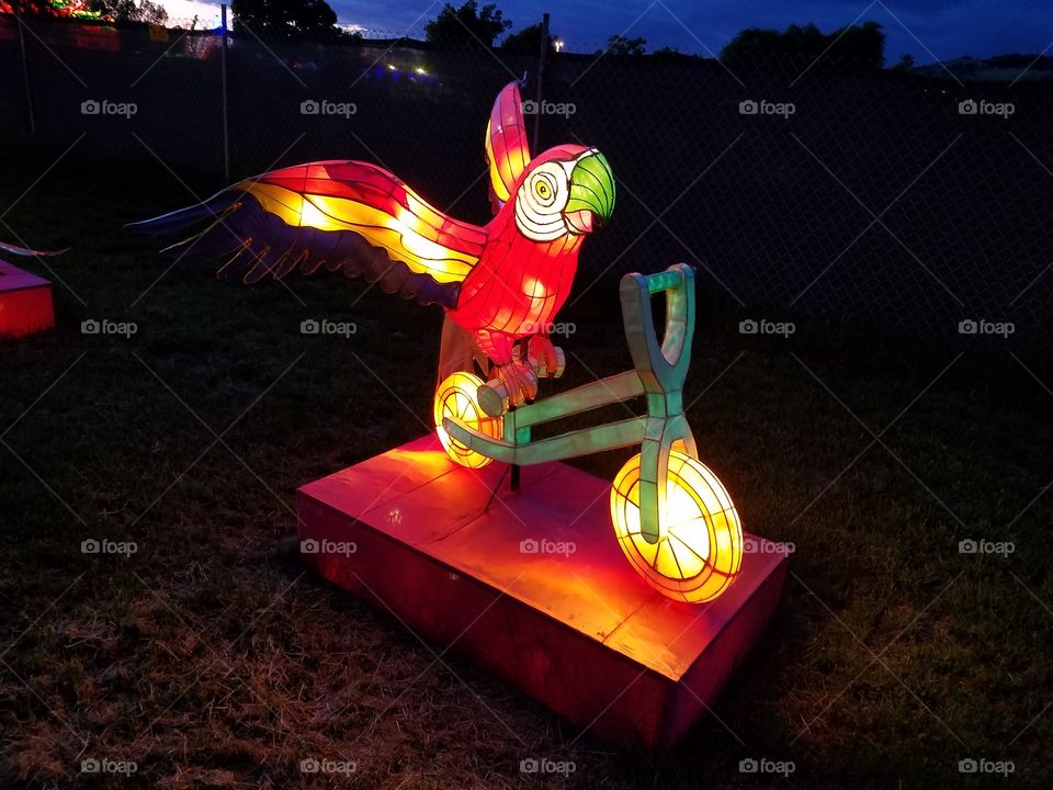 light lantern festival for the Chinese new year. parrot on a bicycle.