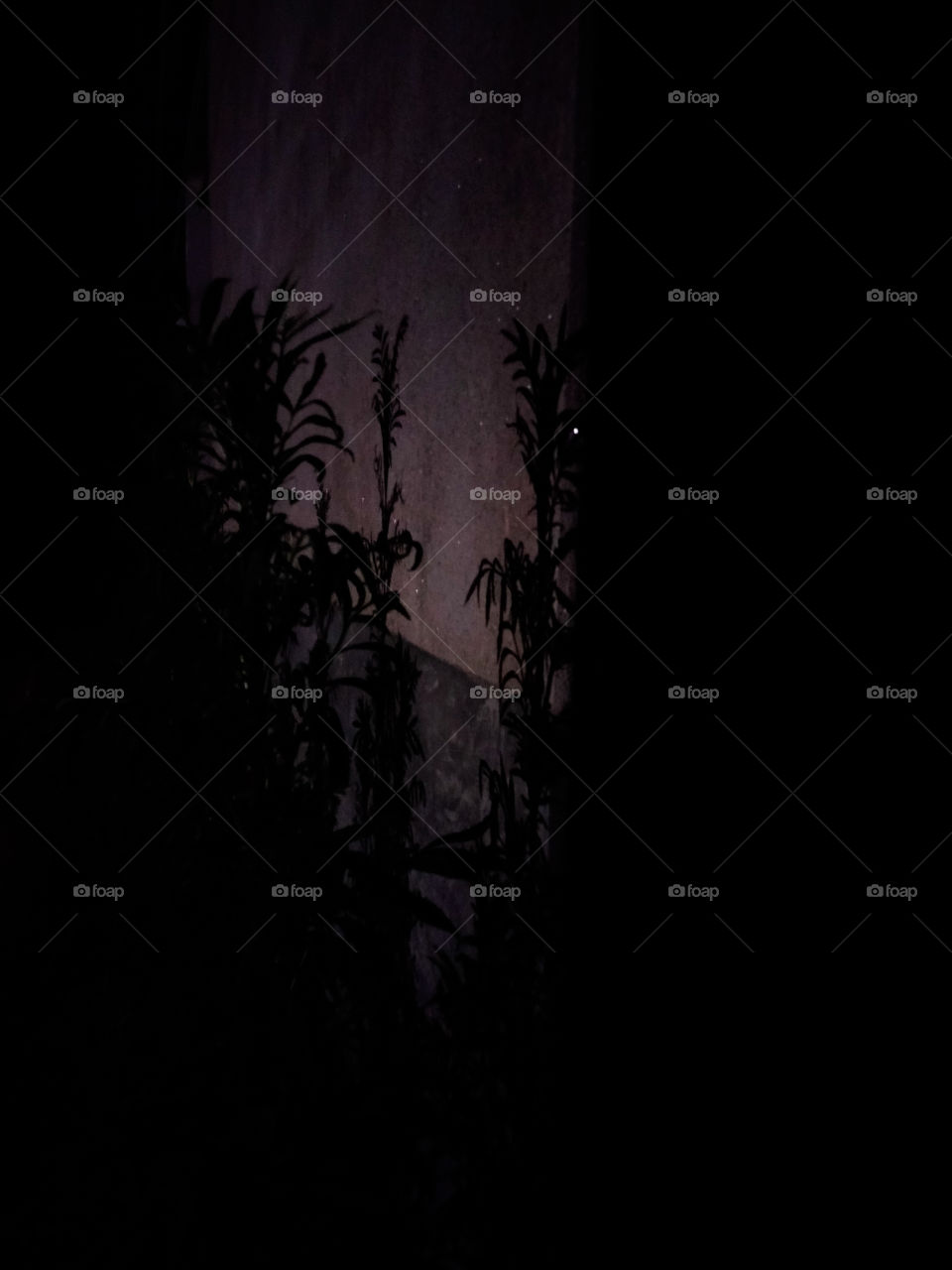 Simple contrasted shadowgraphy