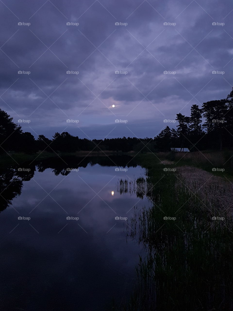 fullmoon reflections