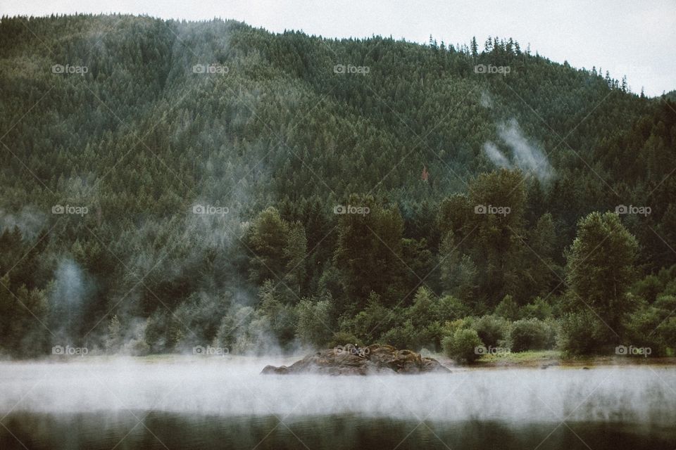 Oregon mountains and trees
