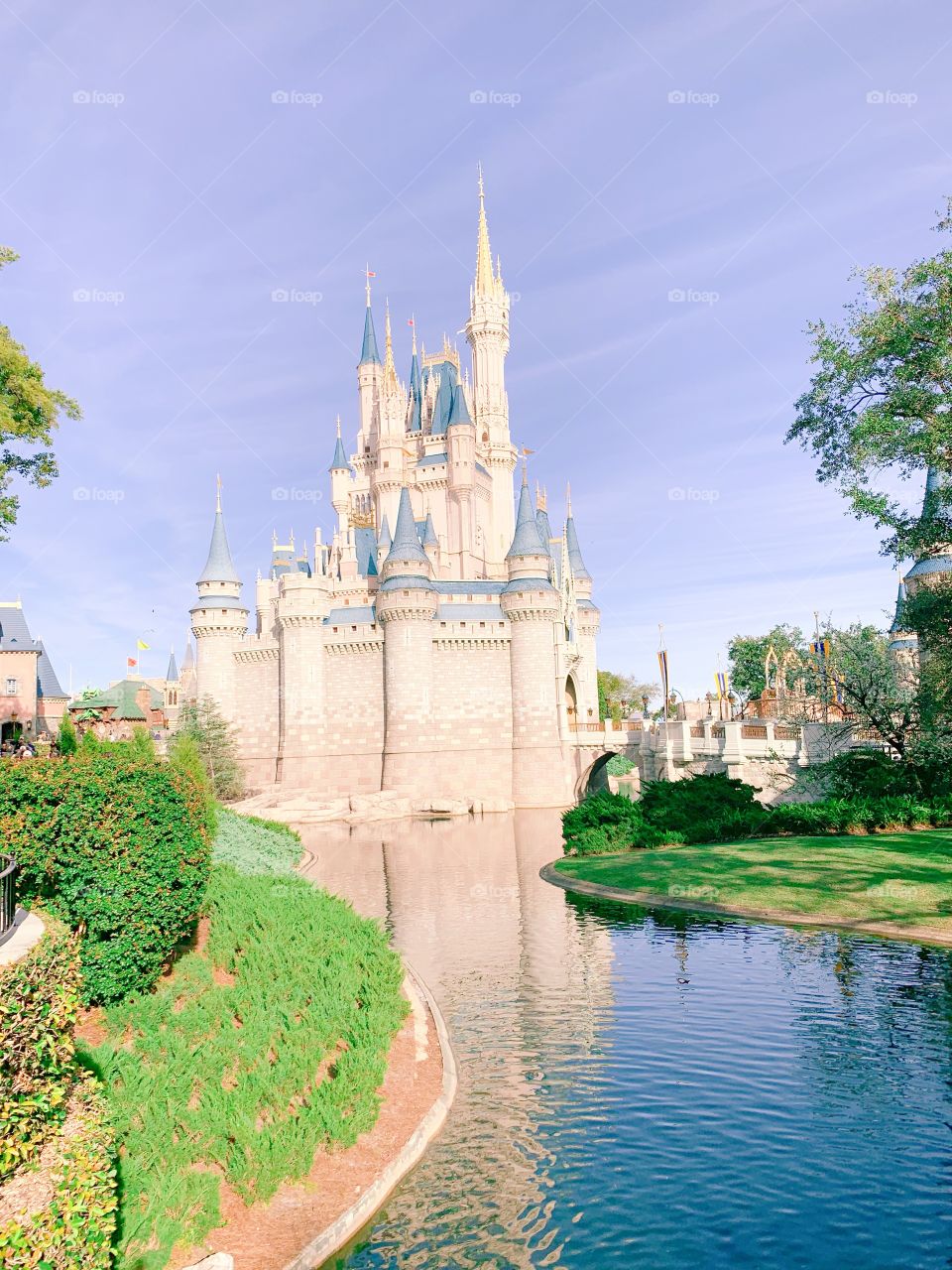 Magic kingdom 