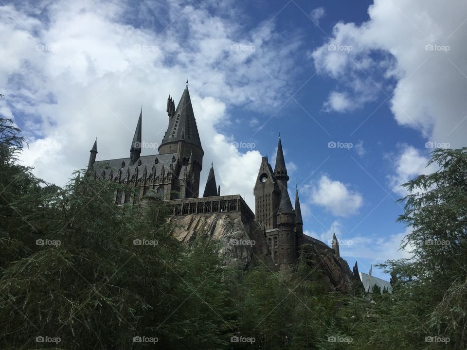 Hogwart's . Harry Potter World - Hogwart's