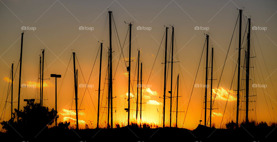 Sailboats at sundown