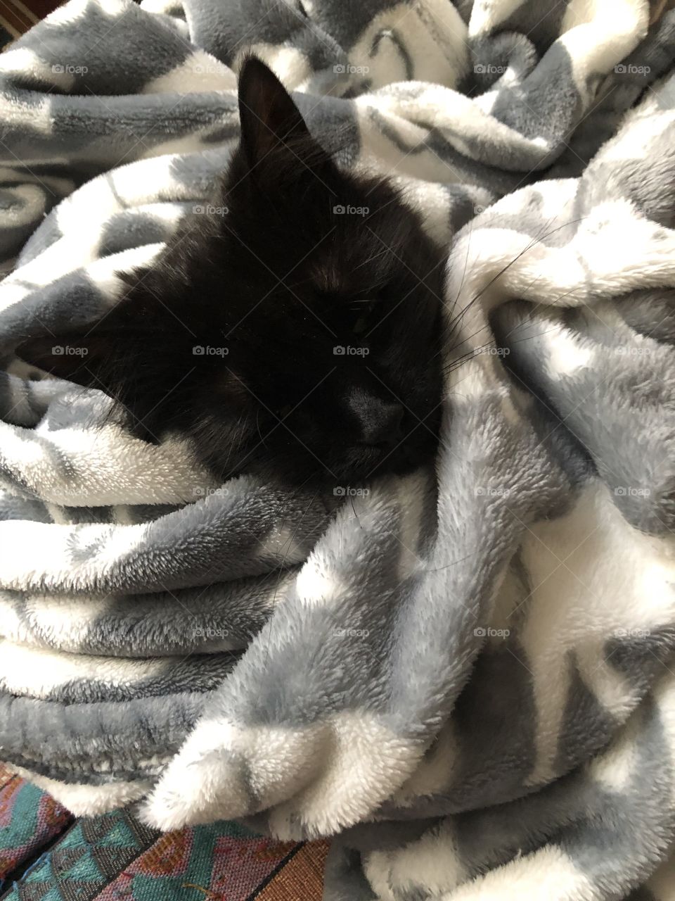 Snuggled as a big in a rug (or elephant blanket)