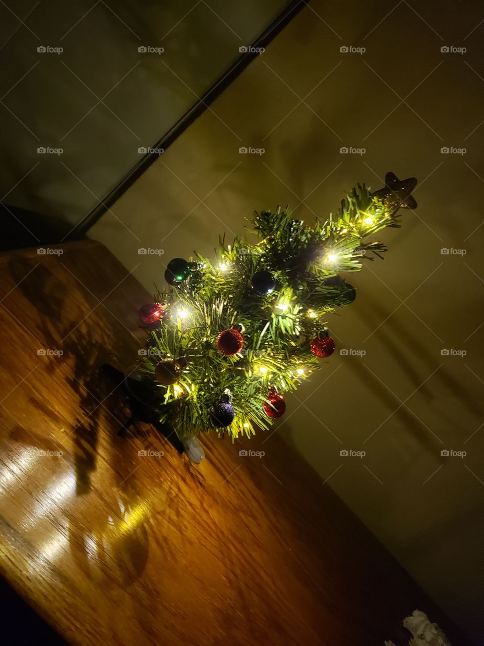 oh Christmas tree, oh Chriatmas tree..