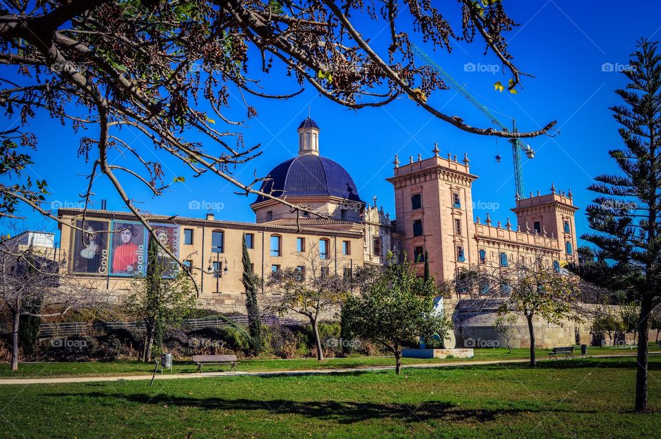 Colegio de San Pio V, hoy Museo de Bellas Artes y Real Academia de San Carlos (Valencia - Spain)