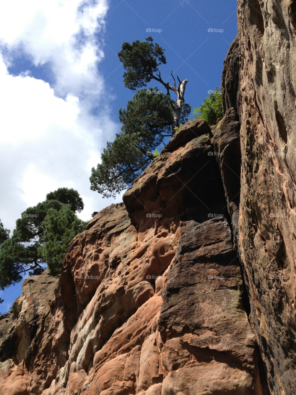 sky clouds trees scenery by all_things_art