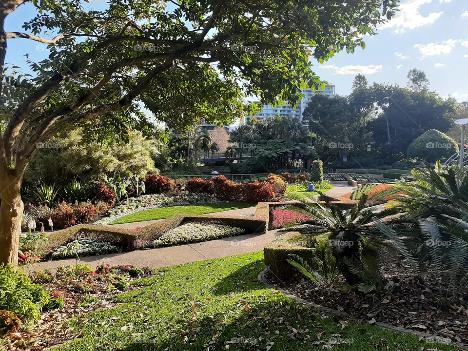 botanical  garden