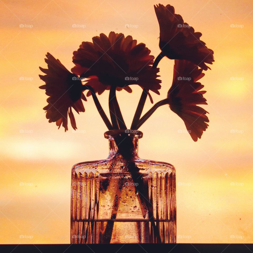 flowers in glass container at sunrise